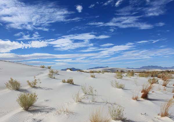 White Sands Scene